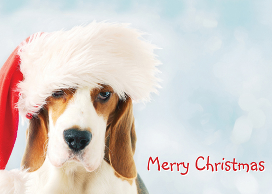 holiday card