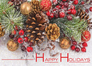 Photography Holiday Cards #6032